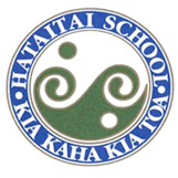 Hataitai School 2024