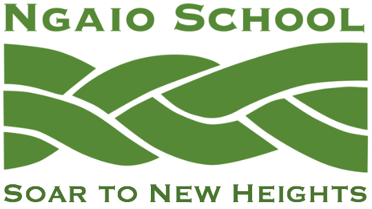 Ngaio School 2024